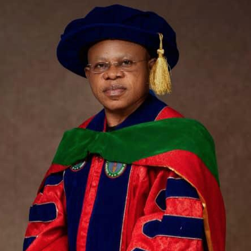 Professor Yomi Ogun